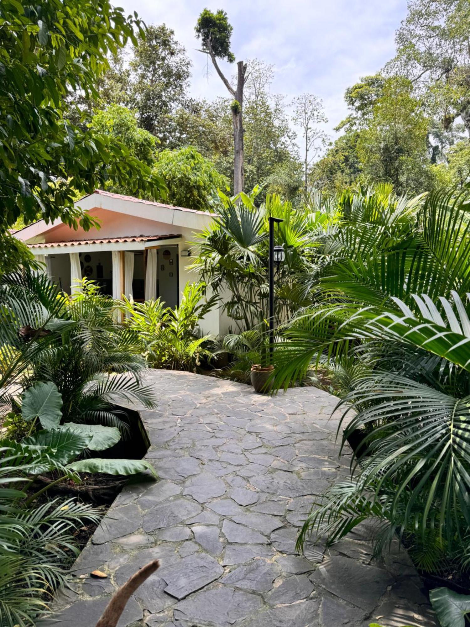Chilamate Holiday House Puerto Viejo de Talamanca Kültér fotó