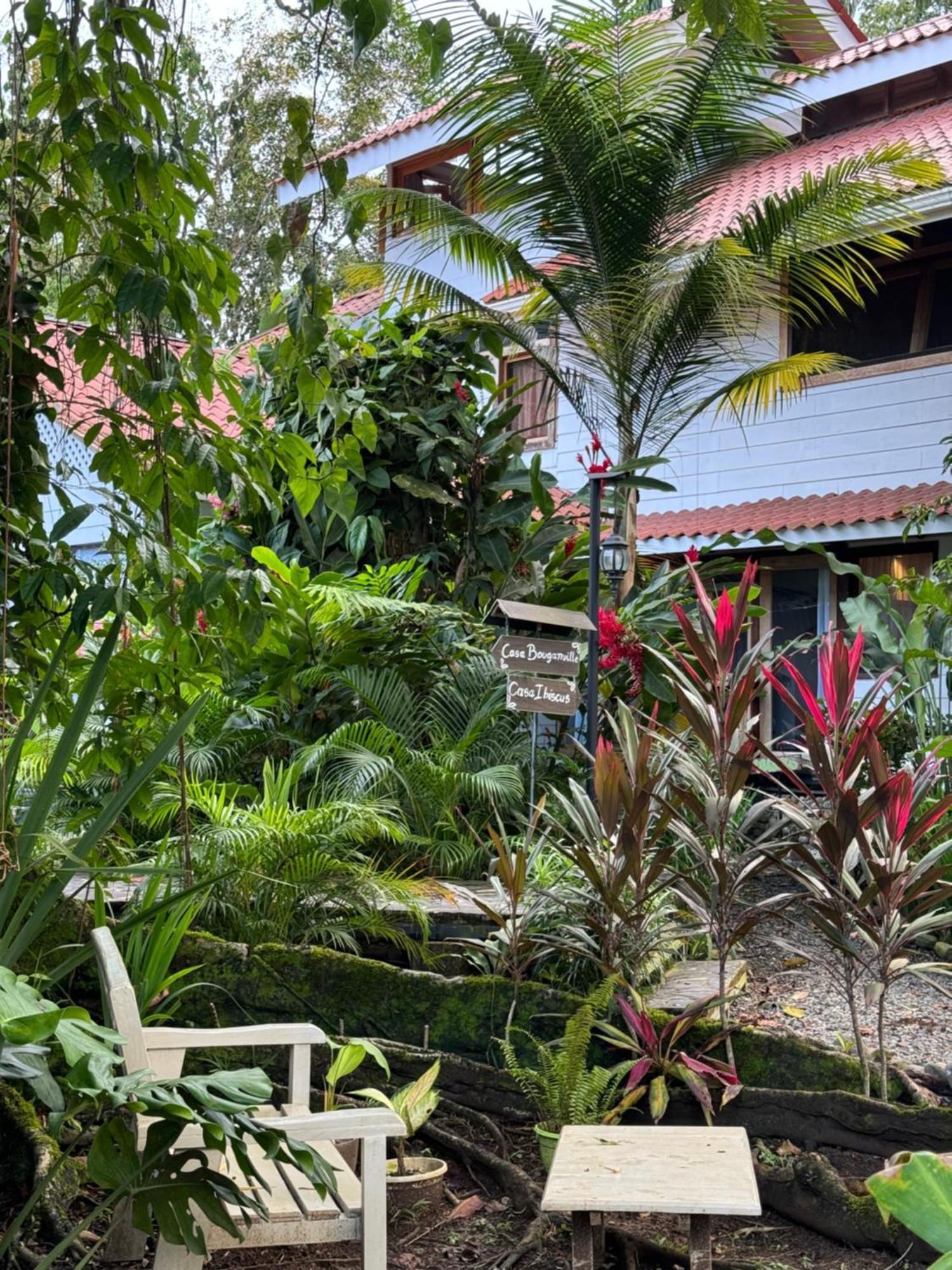 Chilamate Holiday House Puerto Viejo de Talamanca Kültér fotó